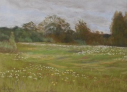 2011 - La prairie fleurie